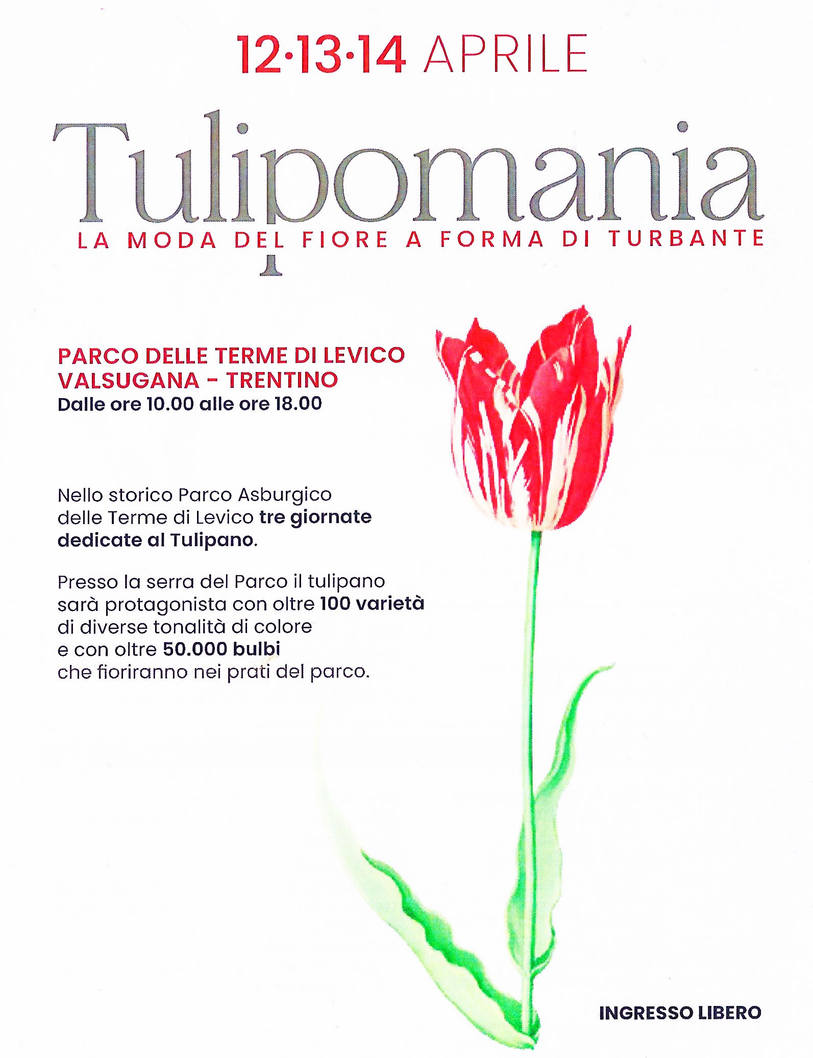 Tulipomania